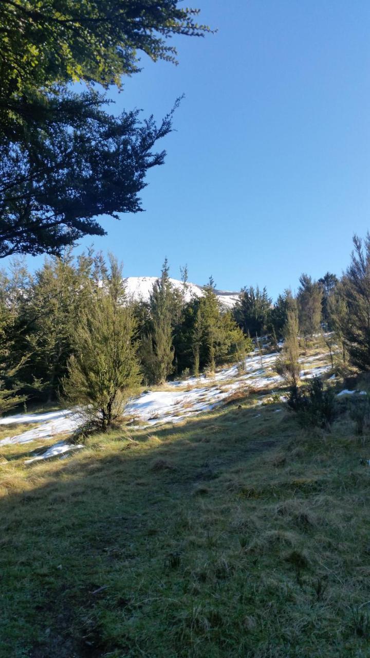 Mt Lyford Lodge المظهر الخارجي الصورة