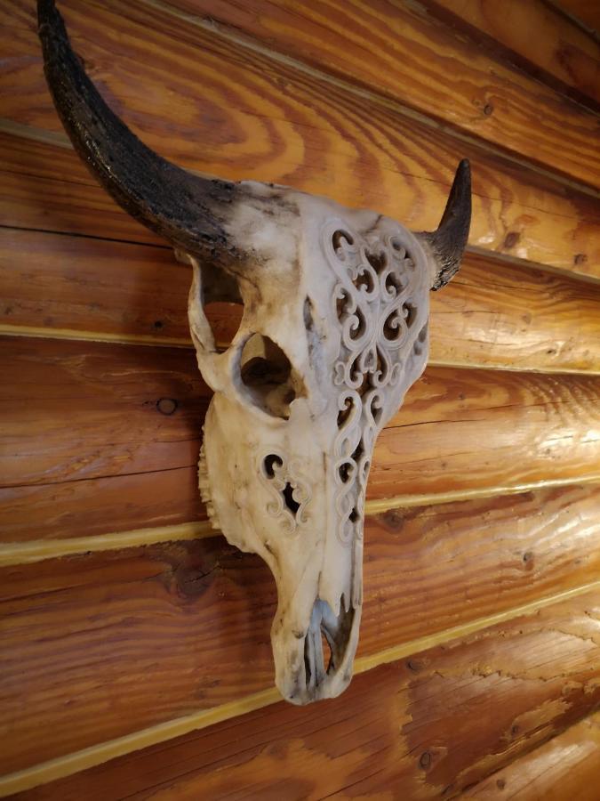 Mt Lyford Lodge المظهر الخارجي الصورة